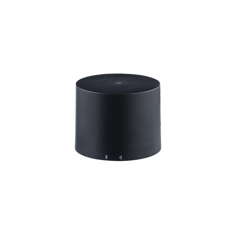 Buzzer - DV3007