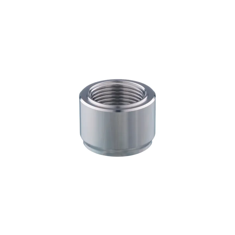 Adaptateur à souder pour capteurs de process - E30541