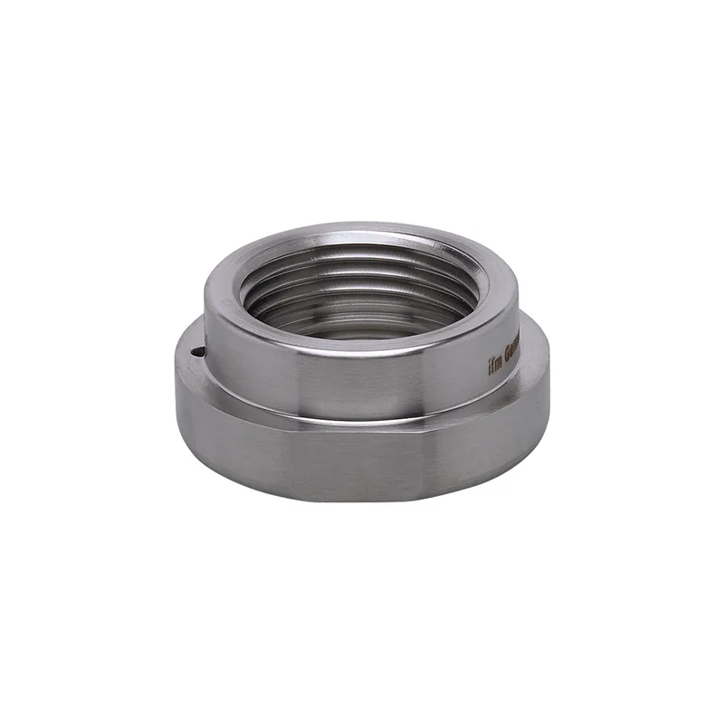 Adaptateur de processus pour connexion de tuyau DIN 11864 - E33304
