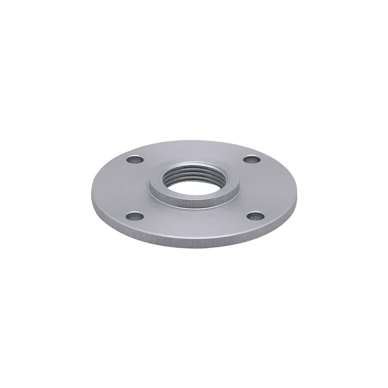 Plaque de bride pour capteurs de niveau - E43202
