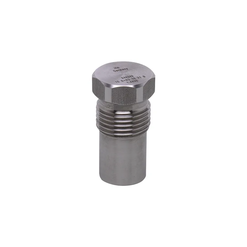 Bouchon d'étanchéité pour raccords de processus - E43308