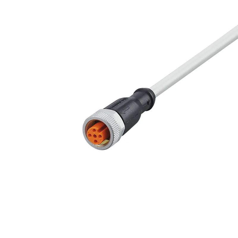 Câble de connexion avec prise - EVW167