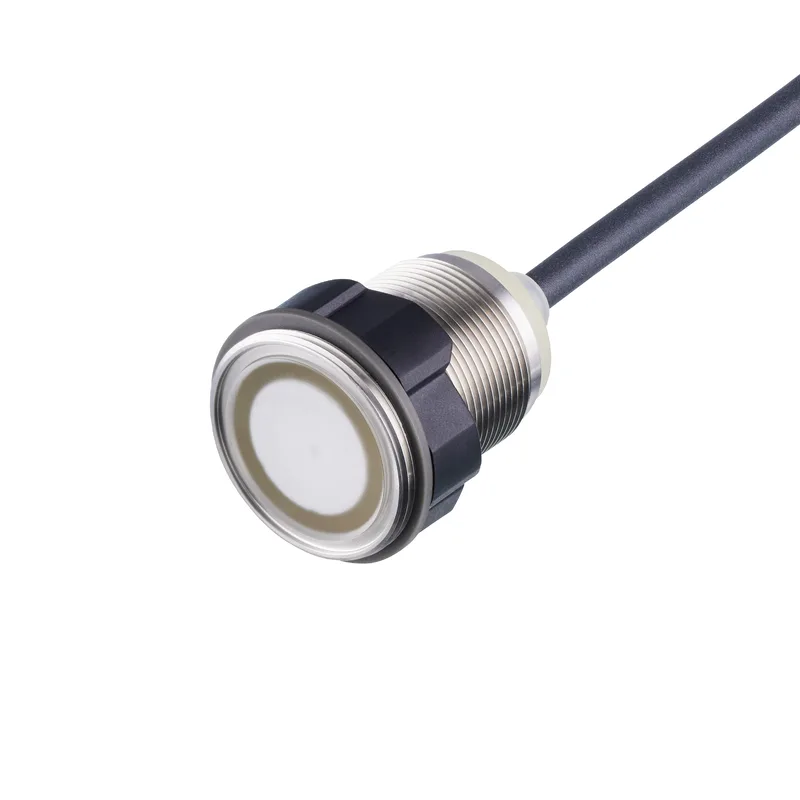 Capteur tactile capacitif - KTE302 KTE302